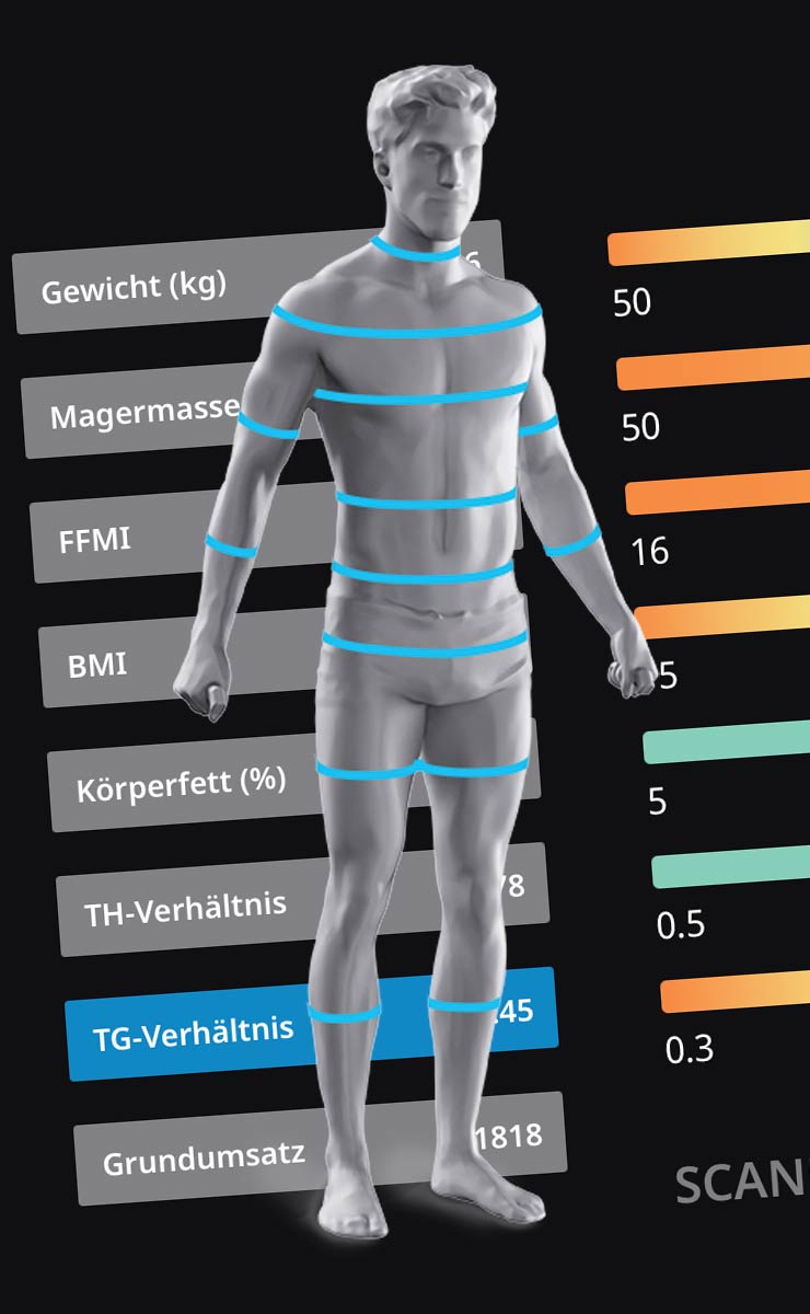 Körperscan Analyse BMI SCANECA